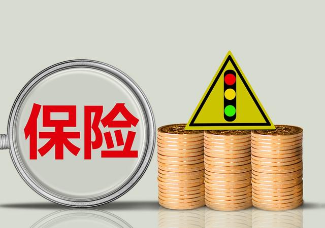 保险小个体助力大经济